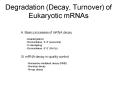 Degradation Decay, Turnover of Eukaryotic mRNAs PowerPoint PPT Presentation