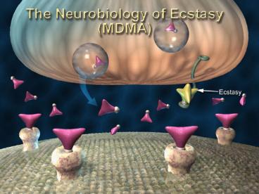 presentation player overlay