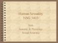 Human Sexuality NSG 3403 PowerPoint PPT Presentation