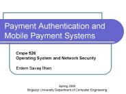 Payment Authentication and Mobile Payment Systems