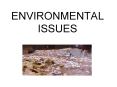 ENVIRONMENTAL ISSUES PowerPoint PPT Presentation