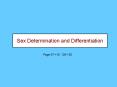 Sex Determination and Differentiation PowerPoint PPT Presentation