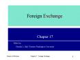 Foreign Exchange PowerPoint PPT Presentation