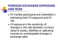 FOREIGN EXCHANGE EXPOSURE AND RISK PowerPoint PPT Presentation