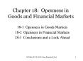 Chapter 18: Openness in Goods and Financial Markets PowerPoint PPT Presentation