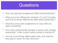 Questions PowerPoint PPT Presentation