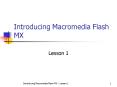 Introducing Macromedia Flash MX PowerPoint PPT Presentation