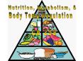 Human Nutrition PowerPoint PPT Presentation