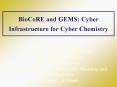 BioCoRE and GEMS: Cyber Infrastructure for Cyber Chemistry PowerPoint PPT Presentation