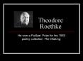 Theodore Roethke PowerPoint PPT Presentation