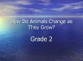 How Do Animals Change as They Grow PowerPoint PPT Presentation