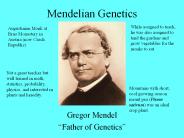 Mendelian Genetics