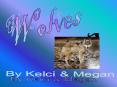 Wolves PowerPoint PPT Presentation