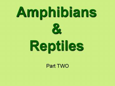Amphibians