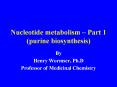 Nucleotide metabolism Part 1 purine biosynthesis PowerPoint PPT Presentation