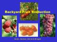 Backyard Fruit Production PowerPoint PPT Presentation