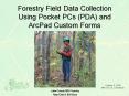 Forestry Field Data Collection Using Pocket PCs PDA and ArcPad Custom Forms PowerPoint PPT Presentation