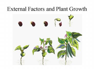 External Factors and Plant Growth