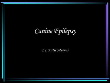 Canine Epilepsy