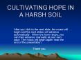 CULTIVATING HOPE IN A HARSH SOIL PowerPoint PPT Presentation