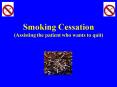 Smoking Cessation Assisting the patient who wants to quit PowerPoint PPT Presentation