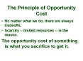 The Principle of Opportunity Cost PowerPoint PPT Presentation
