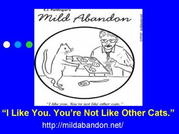 I Like You. Youre Not Like Other Cats.