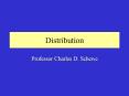 Distribution PowerPoint PPT Presentation