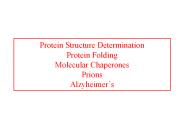 Protein Structure Determination Protein Folding Molecular Chaperones Prions Alzyheimer