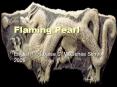 Flaming Pearl PowerPoint PPT Presentation
