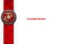 Combat Stress PowerPoint PPT Presentation