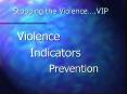Stopping the Violence.VIP PowerPoint PPT Presentation