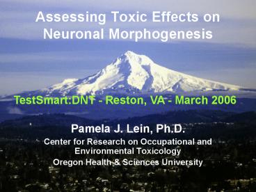 Assessing Toxic Effects on Neuronal Morphogenesis
