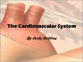 The Cardiovascular System PowerPoint PPT Presentation