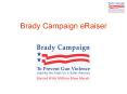 Brady Campaign eRaiser PowerPoint PPT Presentation