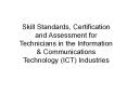 Skill Standards, Certification and Assessment for Technicians in the Information PowerPoint PPT Presentation