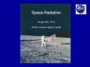 Critical Path Roadmap (Radiation Effects)