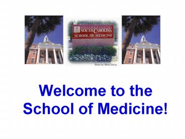 Welcome to the School of Medicine