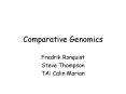 Comparative Genomics PowerPoint PPT Presentation