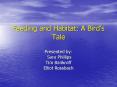Feeding and Habitat: A Birds Tale PowerPoint PPT Presentation