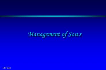 Management of Sows