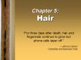 Chapter 5: Hair PowerPoint PPT Presentation