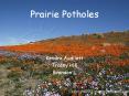 Prairie Potholes PowerPoint PPT Presentation