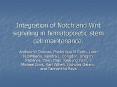 Integration of Notch and Wnt signaling in hematopoietic stem cell maintenance. PowerPoint PPT Presentation