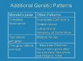 Additional Genetic Patterns PowerPoint PPT Presentation