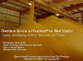 Distillers Grains as Feedstuff for Beef Cattle: Calves, Developing Heifers, Stockers, and Cows PowerPoint PPT Presentation