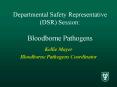 Departmental Safety Representative DSR Session: Bloodborne Pathogens PowerPoint PPT Presentation