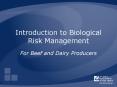 Introduction to Biological Risk Management PowerPoint PPT Presentation