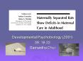 Developmental Psychobiology 2001 PowerPoint PPT Presentation