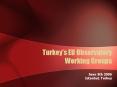 Turkeys EU Observatory Working Groups PowerPoint PPT Presentation